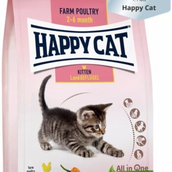 Happy Cat Kitten Farm Poultry