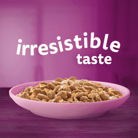 Whiskas poultry feast kitten jelly 1