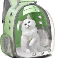 Image Transparent Cat Backpack Carrier