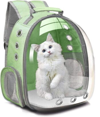 Image Transparent Cat Backpack Carrier