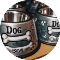 Dog Bowls and Food Dispensers