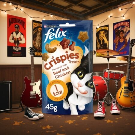 Felix Crispies Beef and Chicken Cat Treats