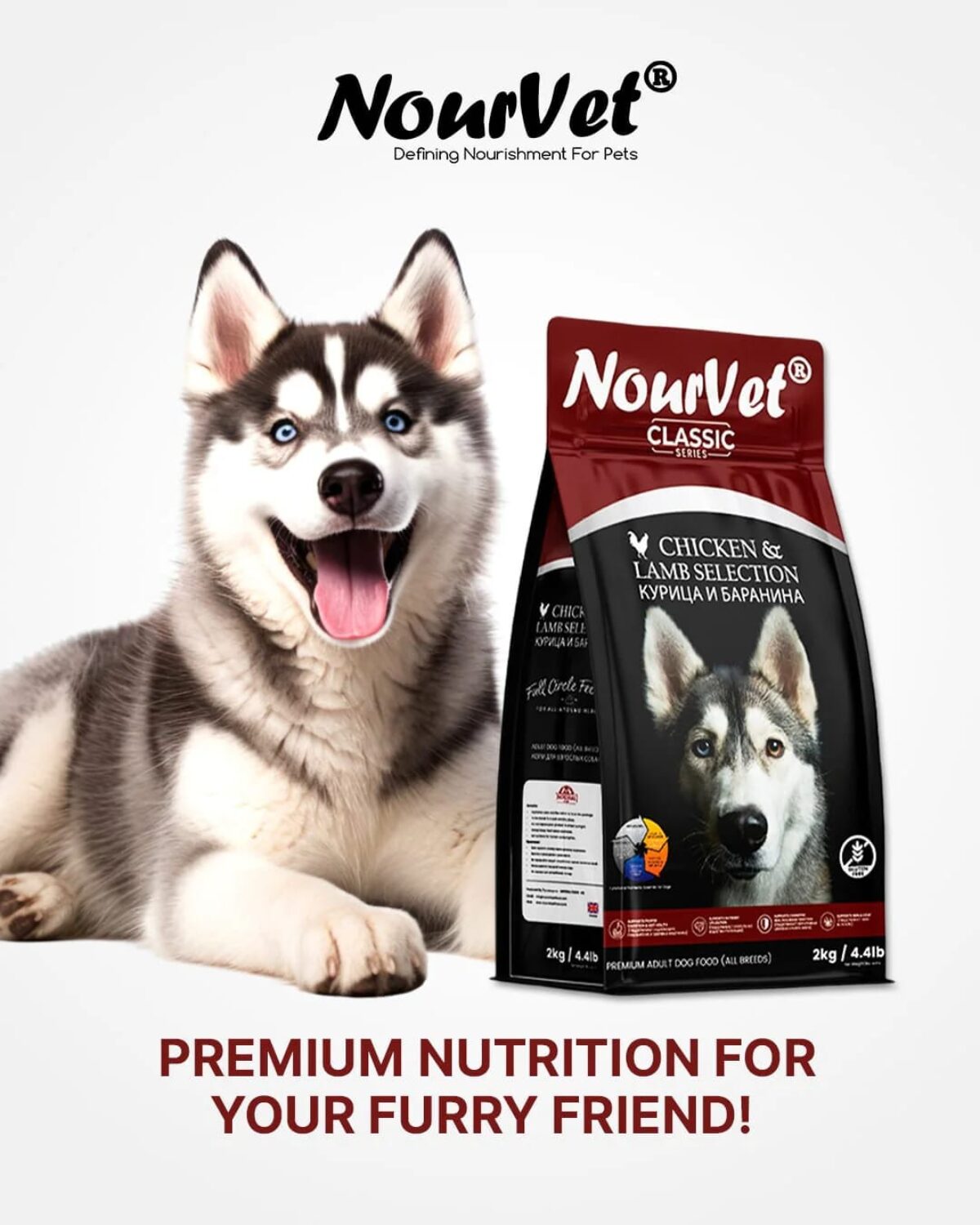 Moga Punjab Husky Dog Shop Near Me Nourvet Dog Food Chicken And