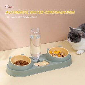 Cat Face Double Feeding Bowl with Water Bottle