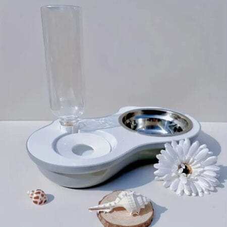 Cat Steel Food Bowl with Water Bottle