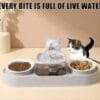 Cat Water Fountain with Double Bowls