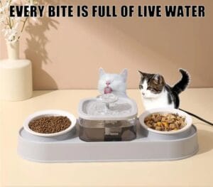Cat Water Fountain with Double Bowls