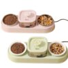 Cat Water Dispenser with Double Food Bowls