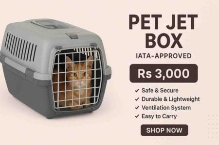 Jet-Box-For-Pets
