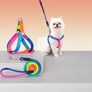 Rainbow Leash Harness Dogs