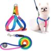 Rainbow Leash With Harnes Dogs L 2