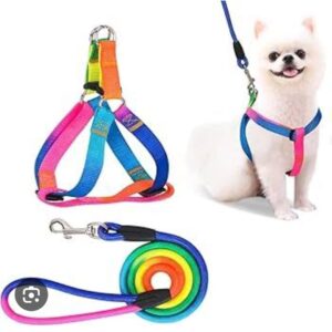 Rainbow Leash With Harnes Dogs L 2