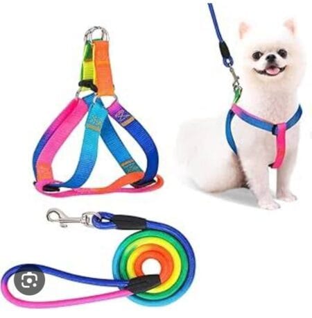 Rainbow Leash With Harnes Dogs L 2