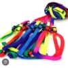 Rainbow Leash With Harness Dogs L
