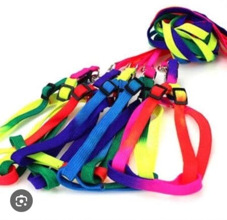 Rainbow Leash With Harness Dogs L