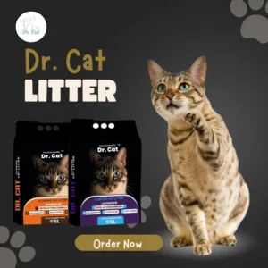 Dr-Cat-Clumping-Cat-Litter