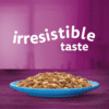 Whiskas irrestible taste