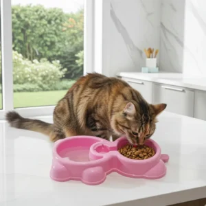 Double Plastic Pet Bowl for cats with dual food and water sections – Pakistan