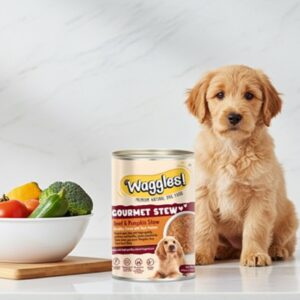 Dog Gourmet Beef & Pumpkin Stew wet dog food for adult dogs