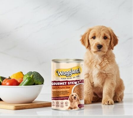 Dog Gourmet Beef & Pumpkin Stew wet dog food for adult dogs