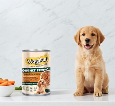 Dog Gourmet Chicken and Carrot Stew wet dog food for adult dogs