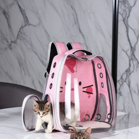 Transparent cat backpack carrier with bubble window breathable pet travel bag for cats in Pakistan